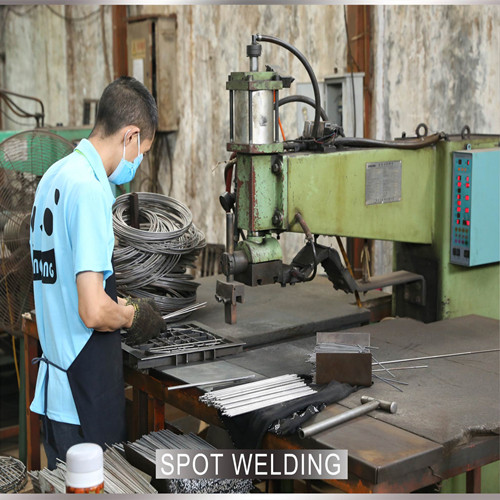 photobank (7)_副本066